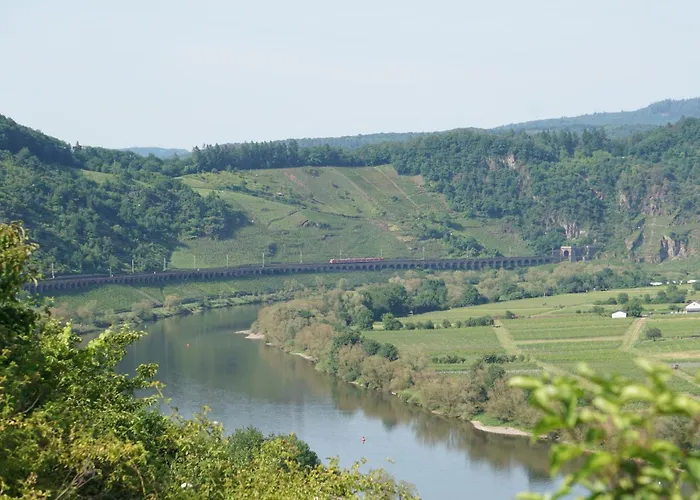 Lollo * エンキルヒ