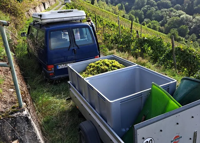 アパート Lollo エンキルヒ